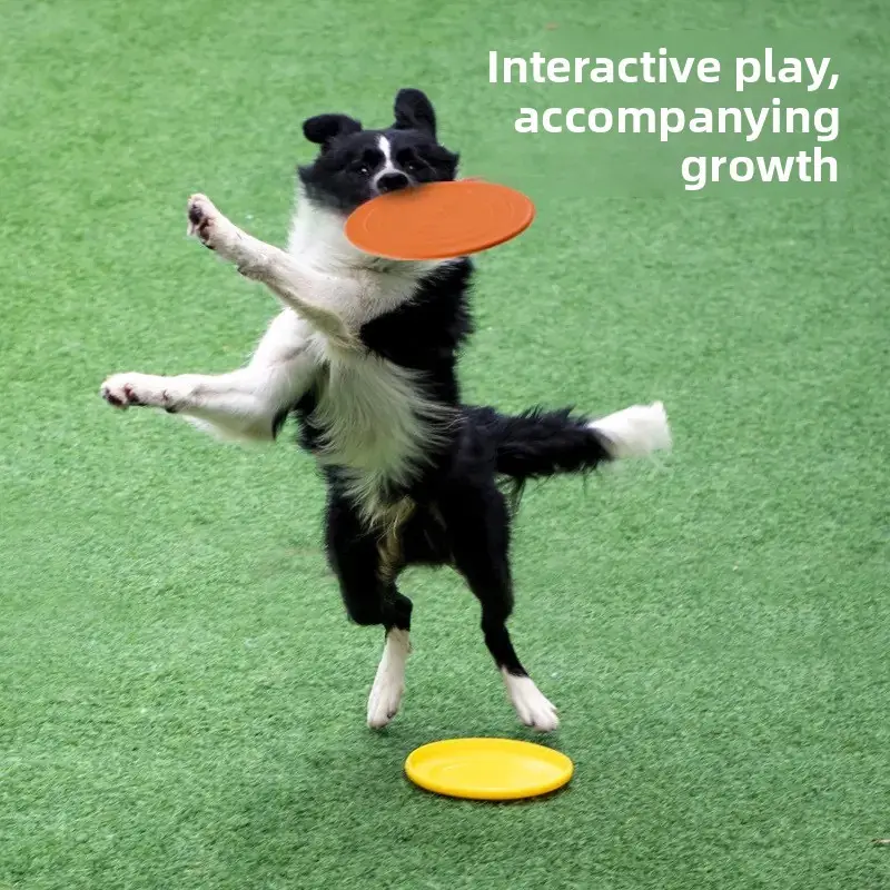 Dog Catch Frisbee - Image 3