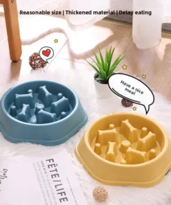 Slow Pet Feeding Bowl