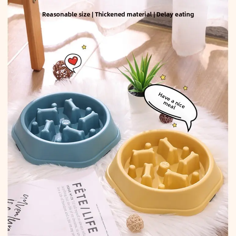 Slow Pet Feeding Bowl