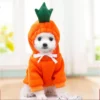 Cold Weather Dog Jacket