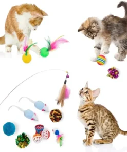 cat accessaries