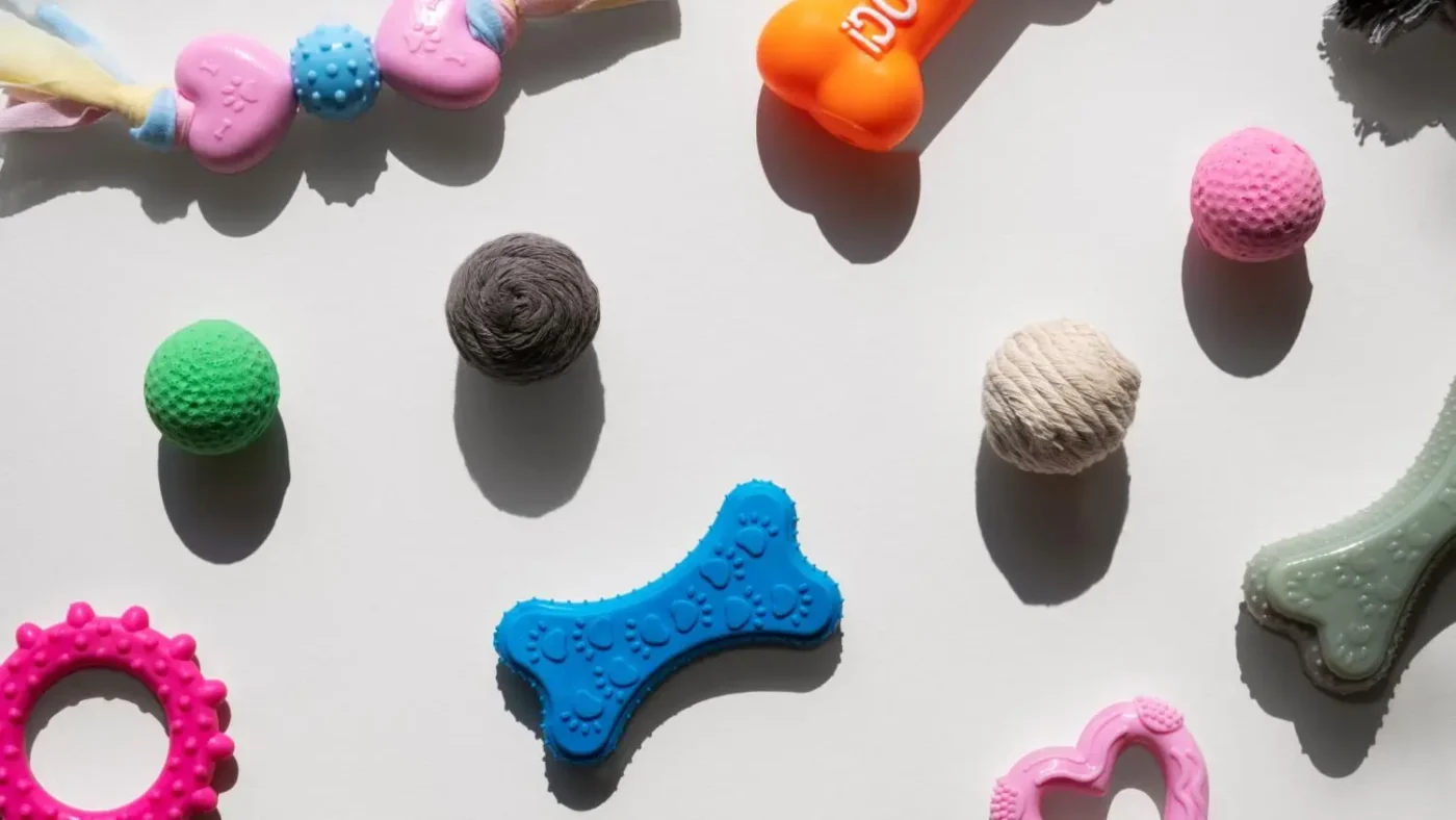 Choosing the right toys for your dog