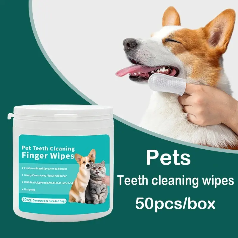 Dental Care for Dogs
