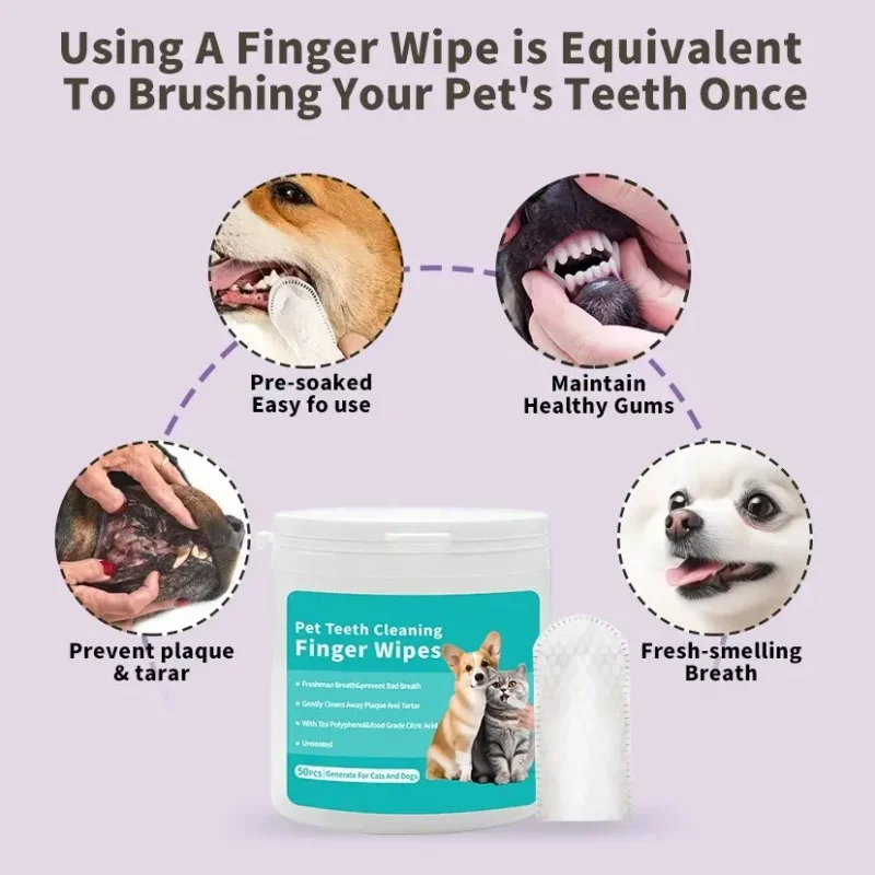 Dental Care for Dogs 1
