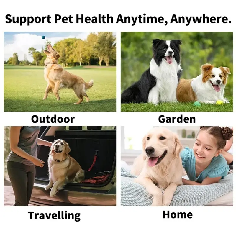 Dental Care for Dogs 3