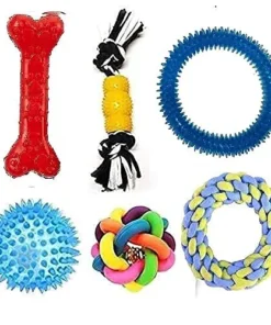 Pet Toys & Treats
