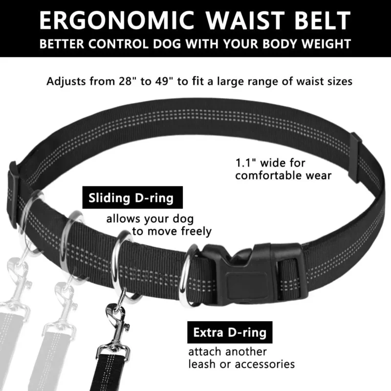 Waist Leash for Dogs 1