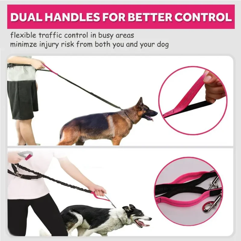 Waist Leash for Dogs 3