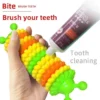 Dog Toothbrush Toy