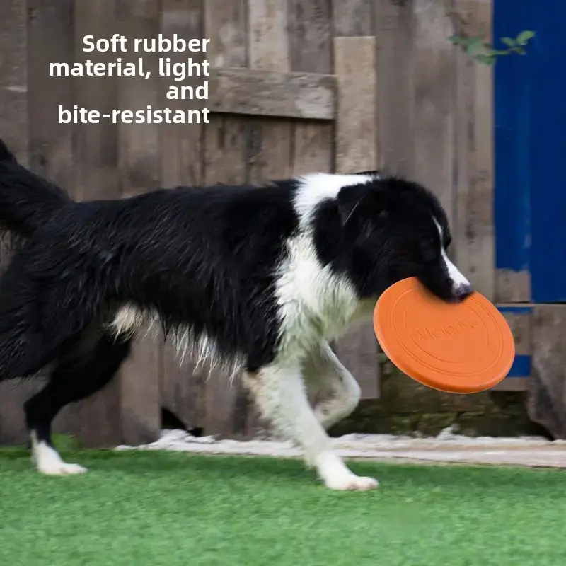 Dog Catch Frisbee - Image 4