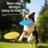 Dog Catch Frisbee