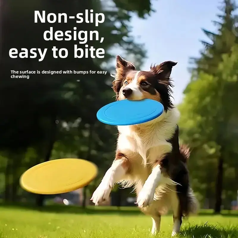 Dog Catch Frisbee
