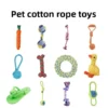 Cat Toys for Kittens
