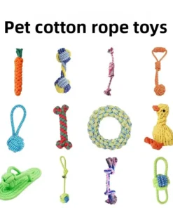 Cat Toys for Kittens