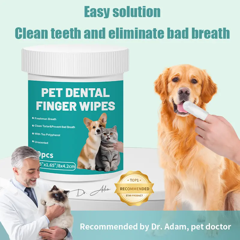 Dental Care for Dogs - Image 3