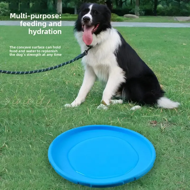Dog Catch Frisbee - Image 2