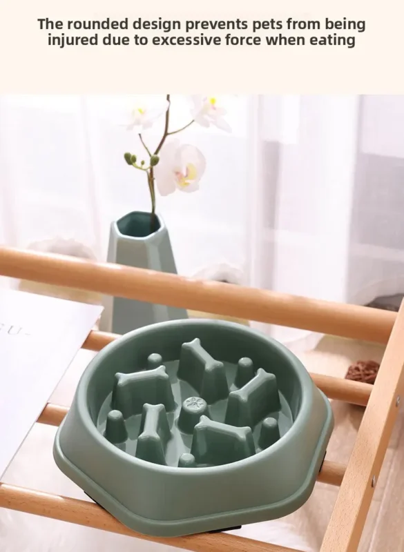 new pet feeding bowl1